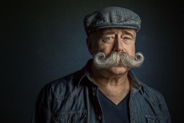 A Schnauzer sporting its signature groomed beard and brows.